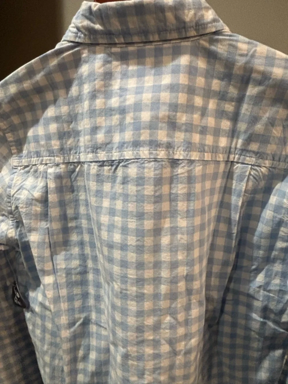 NWT ✨ The Children's Place Blue and White Gingham Button-Down Shirt XL/14